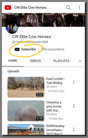 cw_elite_cow_horses005010.jpg