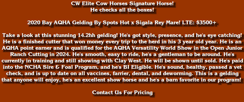cw_elite_cow_horses006013.jpg