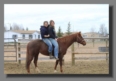 cw_elite_cow_horses008034.jpg