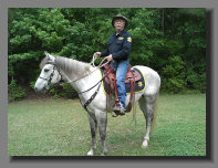 cw_elite_cow_horses008035.jpg