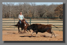 cw_elite_cow_horses008057.jpg