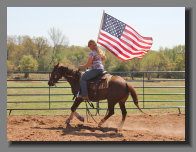 cw_elite_cow_horses008076.jpg