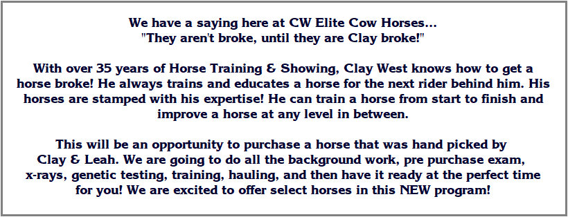 cw_elite_cow_horses009005.jpg