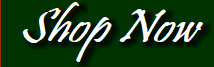 cw_elite_cow_horses013017.jpg