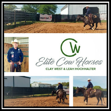 cw_elite_cow_horses014034.jpg